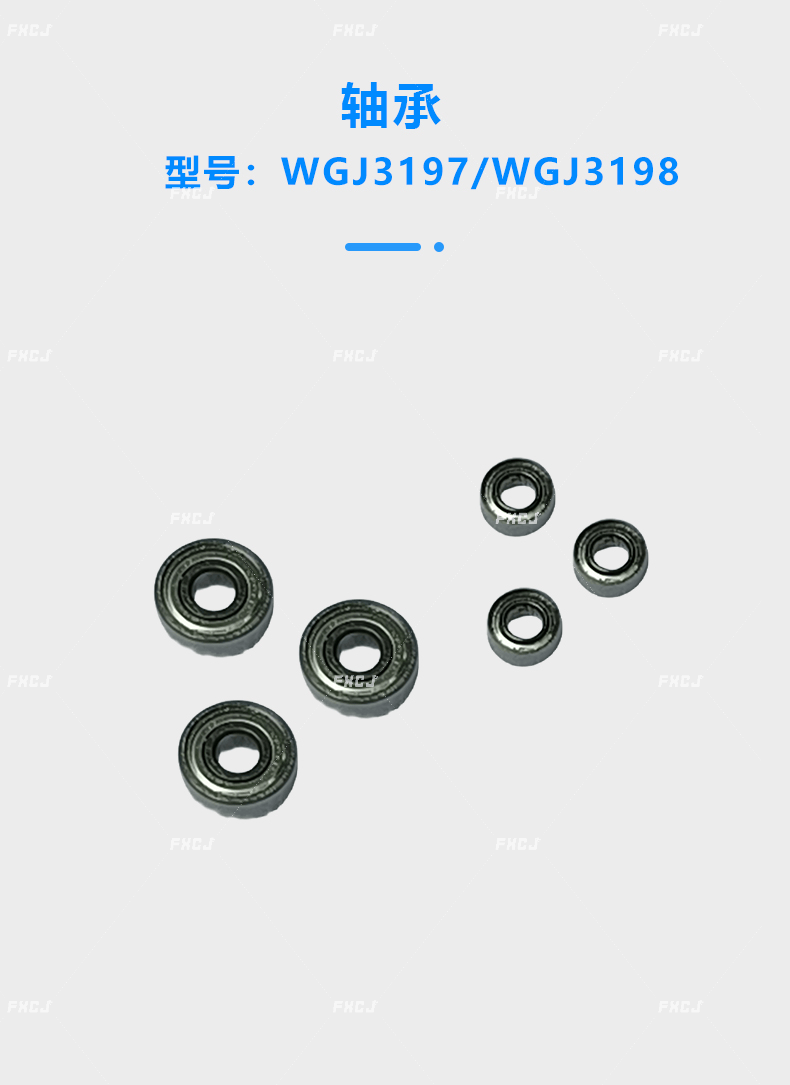 WGJ3197軸承/WGJ3198軸承(圖1)